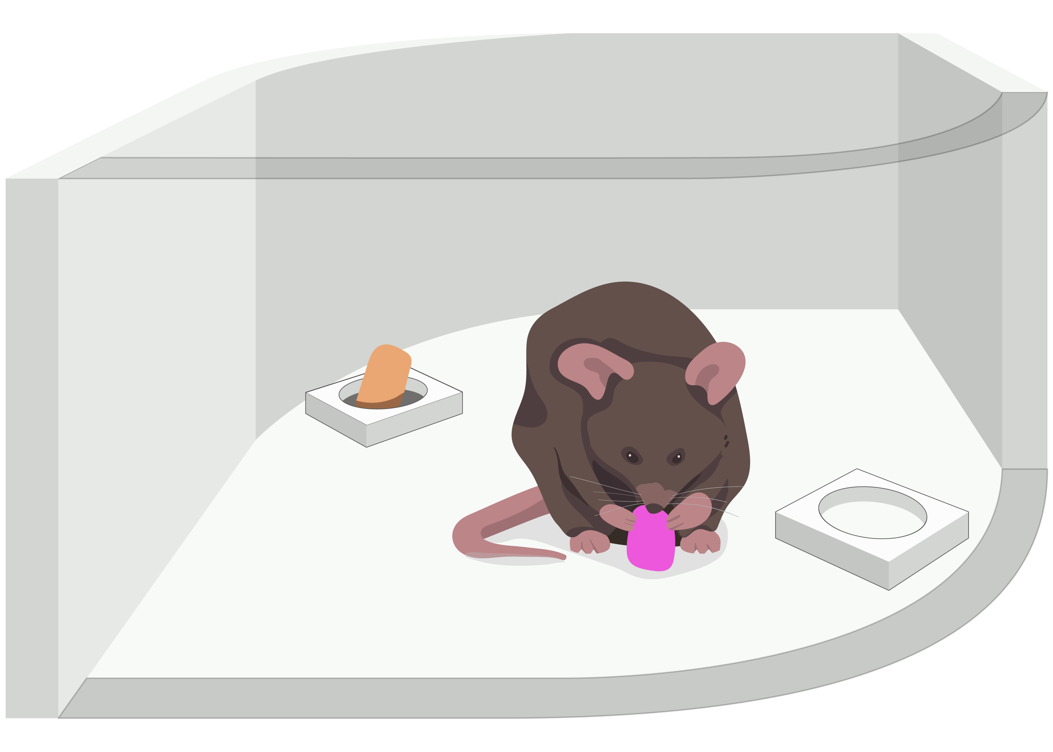 a diagram showing a mouse eating high-calorie chow, with a lower calorie pellet in the background.