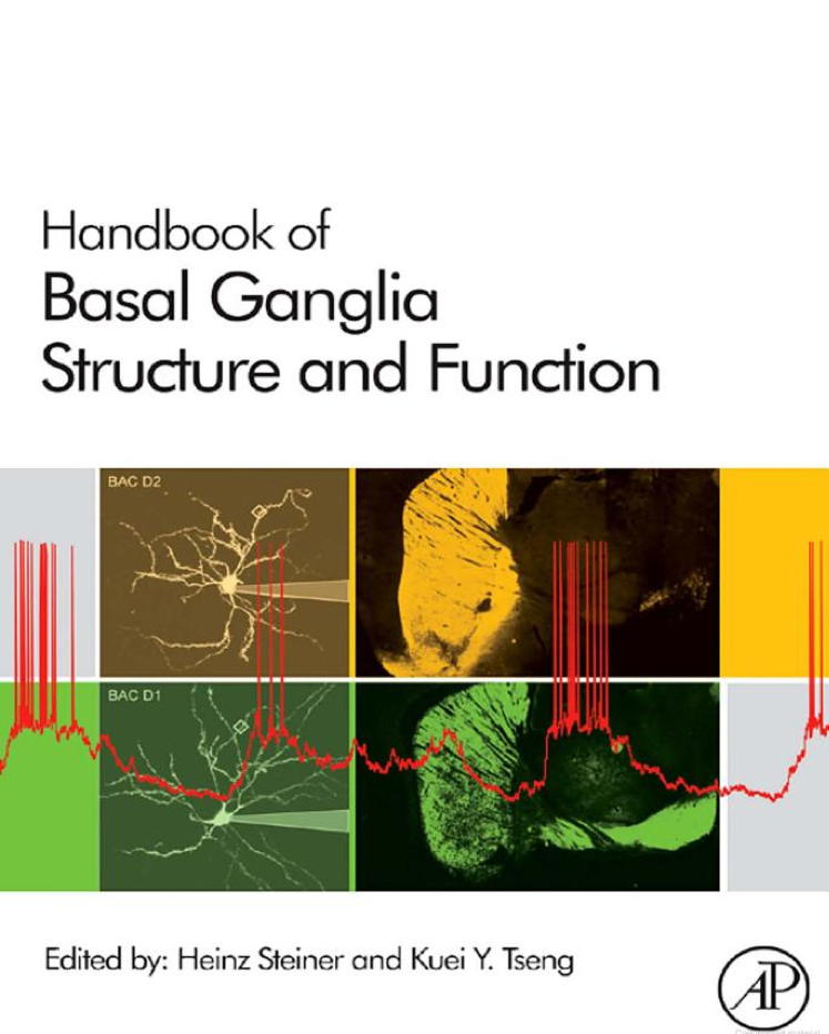 The neuroanatomical organisation of the basal ganglia