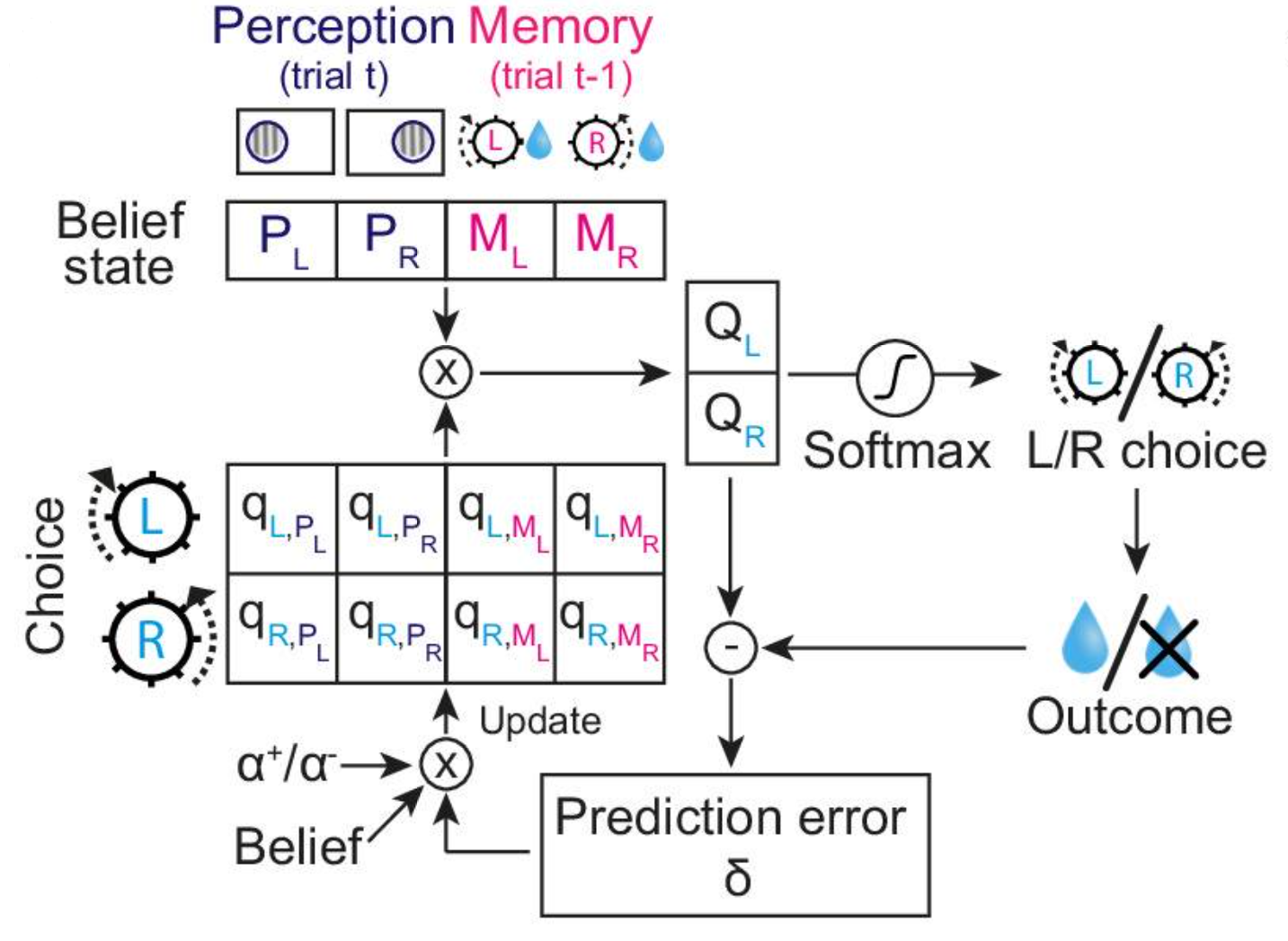 Computational model