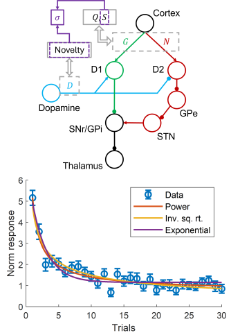 Two figure; top is a schematic of a circuit made of nodes represented as circles and connections between them as lines. Bottom is a figure of an curved line in red and individual data points in blue