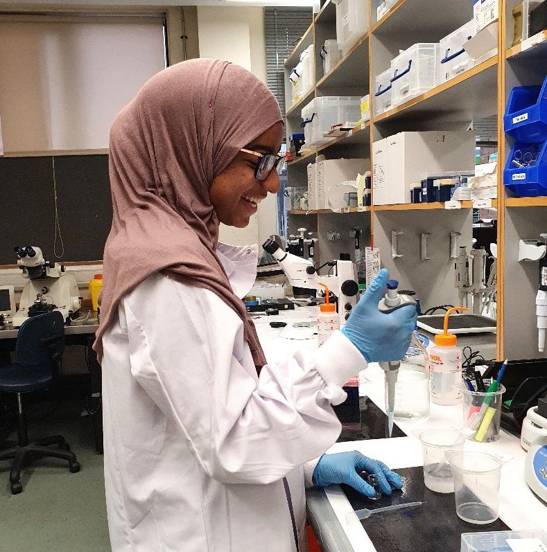 Photo of a visiting In2scienceUK school pupil working at a lab bench