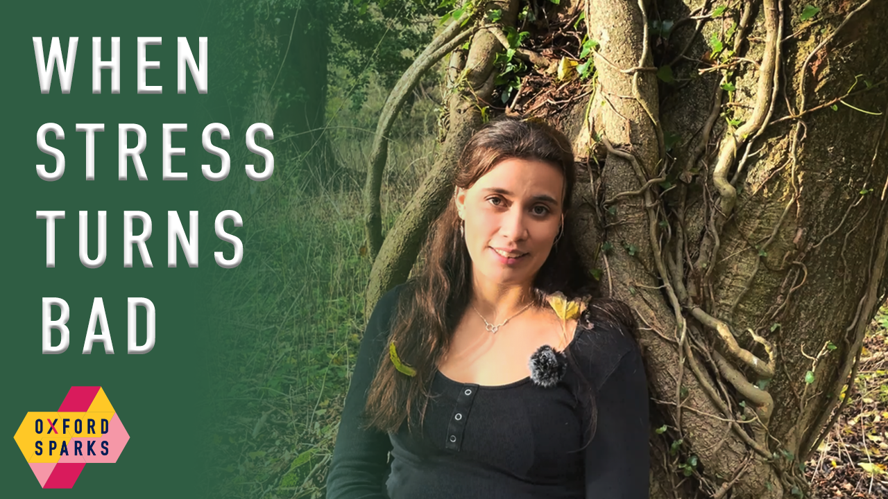 'When stress turns bad' a photo of Charlotte next to a tree