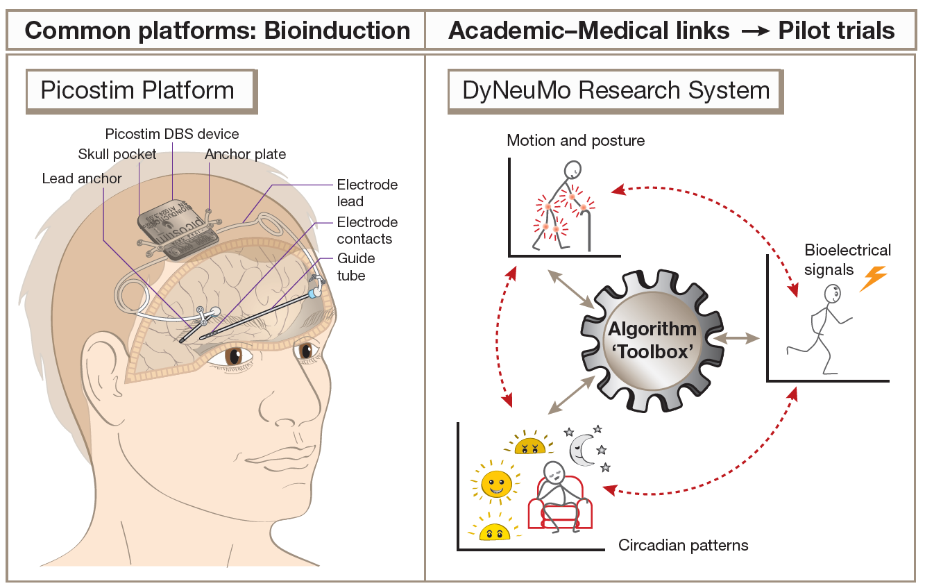 The Picostim-DyNeuMo research tool and some of its capabilities. On the left, a cartoon of human head showing an implanted brain pacemaker device. On the right, a cartoon showing a circle of steps in the research system.