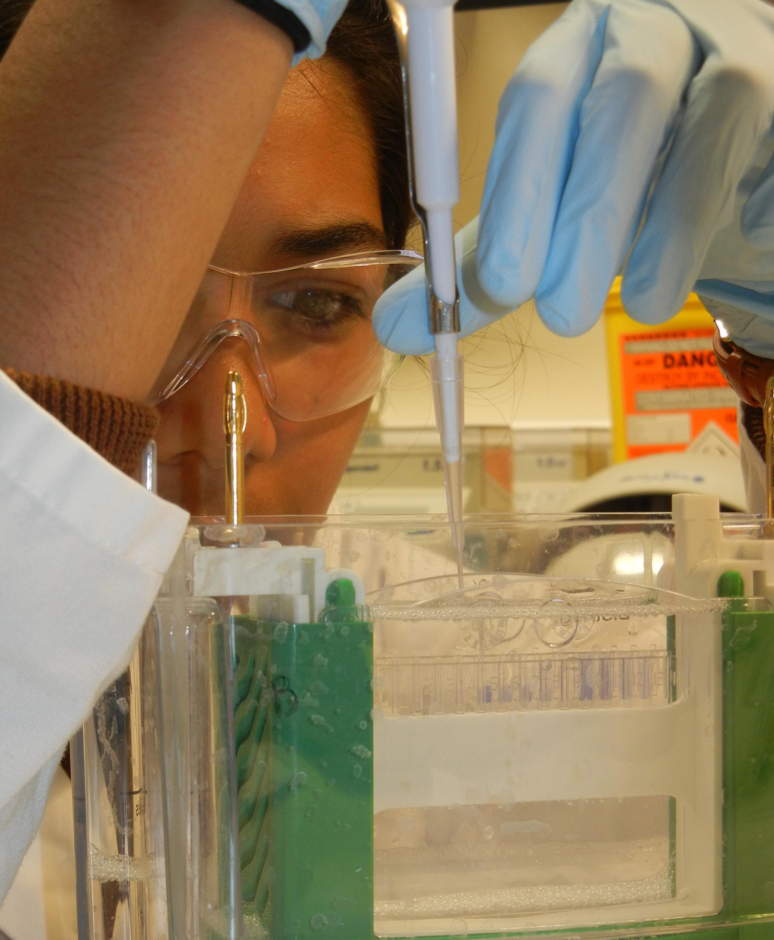 Unit and in2scienceUK deliver STEM placements for local school pupils Unit and in2scienceUK deliver STEM placements for local school pupils